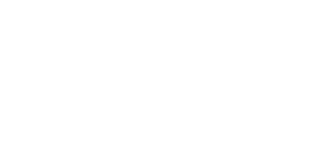Logo Storck
